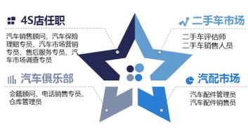 汽車營銷與服務(wù)專業(yè) 技術(shù)開發(fā)方向