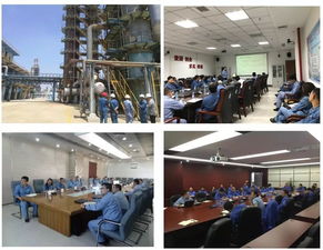 流程工業(yè)全周期能量優(yōu)化技術(shù)服務(wù) 關(guān)鍵技術(shù)開發(fā)與應(yīng)用