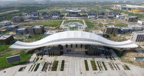 上海CAD二次開(kāi)發(fā)公司盤(pán)點(diǎn)與技術(shù)咨詢(xún)指南